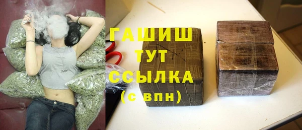 хмурый Дмитров