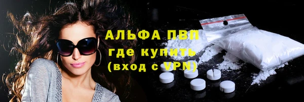 PSILOCYBIN Гусь-Хрустальный