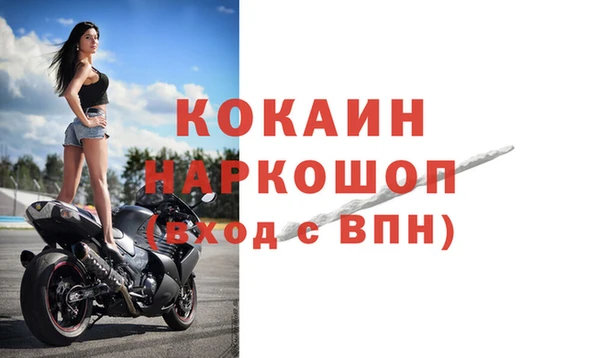 тгк Гусев