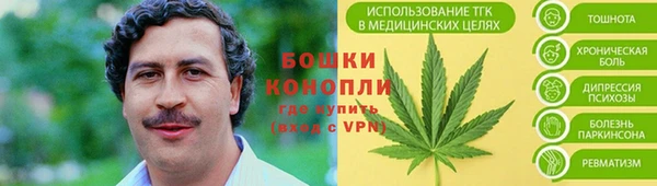 тгк Гусев