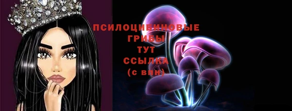 PSILOCYBIN Гусь-Хрустальный