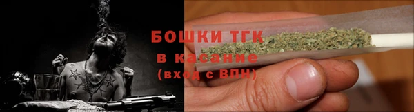 тгк Гусев