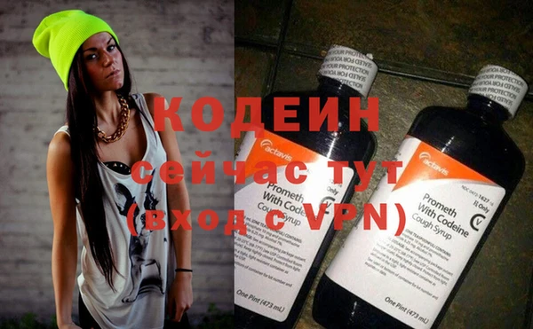 тгк Гусев