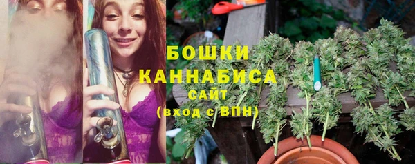 меф Дмитриев