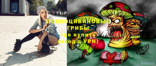 меф Дмитриев