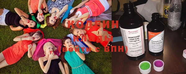 тгк Гусев