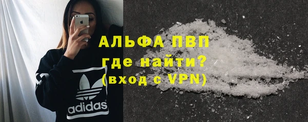 тгк Гусев