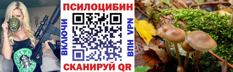 Купить закладки  Сосновоборск  Псилоцибиновые грибы Psilocybe 