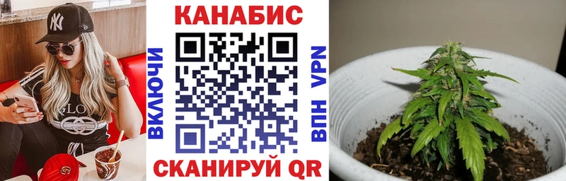 Купить  Сосновоборск  Бошки Шишки семена 